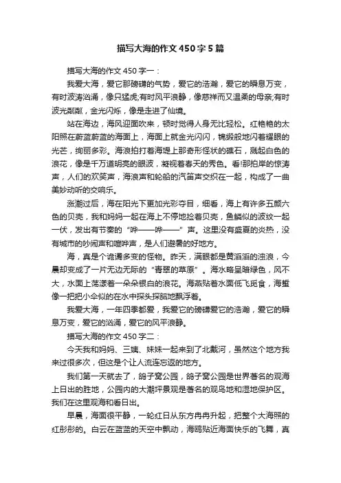 描写大海的作文450字5篇