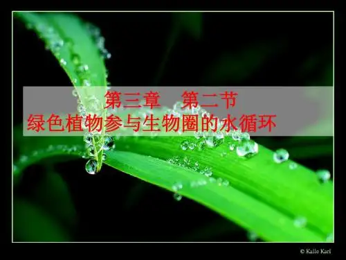 初一生物第三章绿色植物与生物圈的水循环 (1)