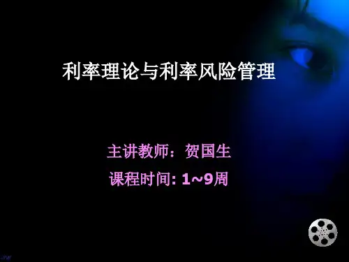 利率理论与利率风险管理课件1
