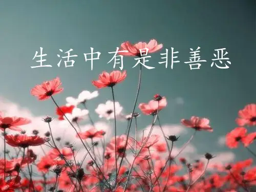 生活中有是非善恶