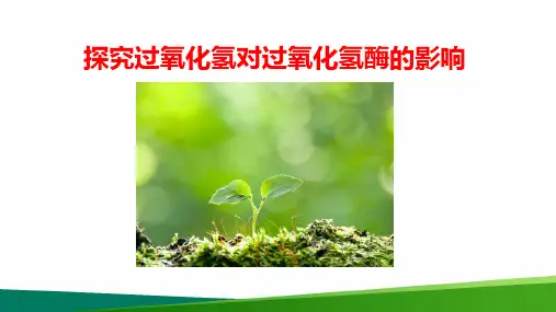 高中生物《探究PH值对酶活性的影响》公开课优质课PPT课件