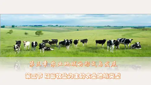 高中地理人教版 必修2 第三章 农业地域的形成与发展 3.3 以畜牧业为主的农业地域类型+混合农业(共42张ppt)