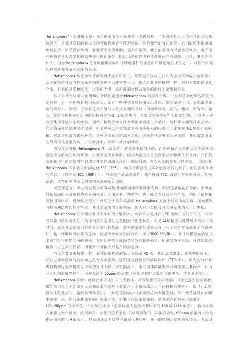 太阳瓶子草养护