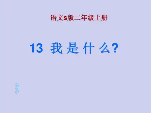 13我是什么