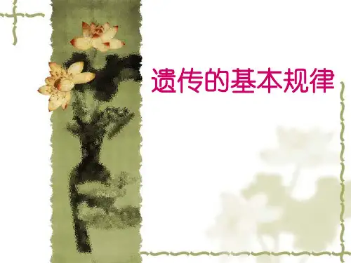 高三生物二轮复习课件 遗传定律专题