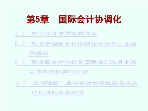 第五章国际会计协调化