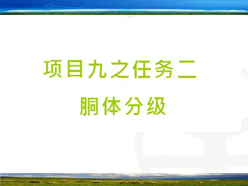 羊的酮体分级