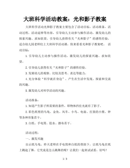 大班科学活动教案：光和影子教案