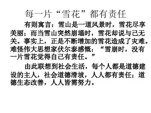 每一片雪花