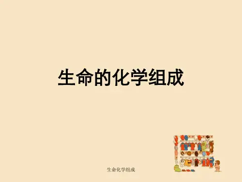 生命化学组成