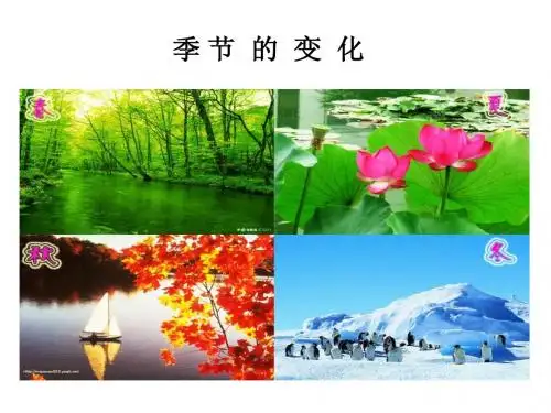 季节的变化