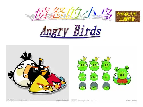 愤怒的小鸟主题班会