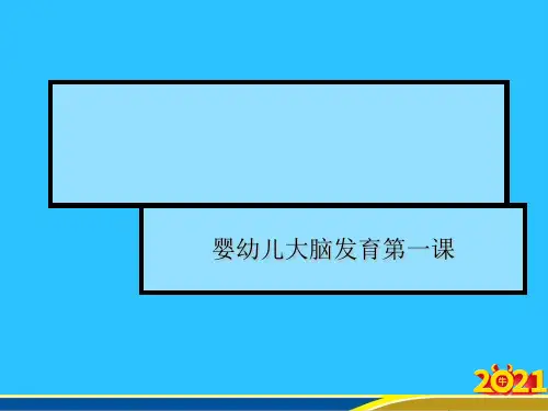 婴幼儿大脑发育第一课