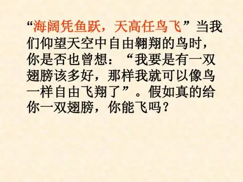 空中飞行的动物