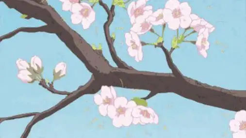 《学习仿写》作文指导优秀课件