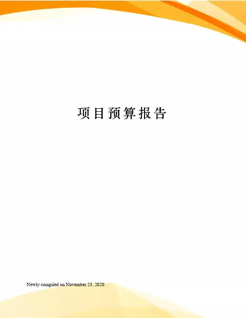 项目预算报告
