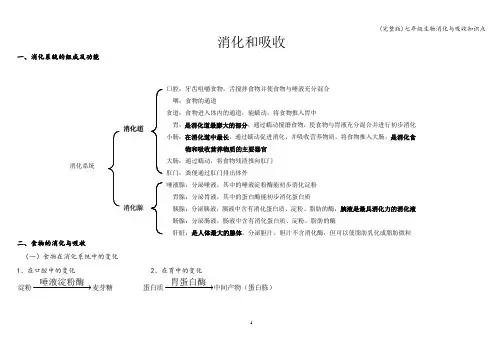 (完整版)七年级生物消化与吸收知识点