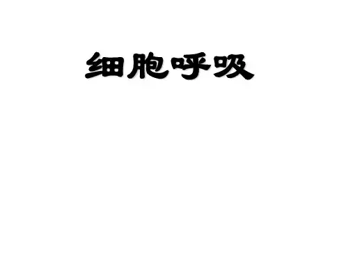 细胞呼吸说课稿