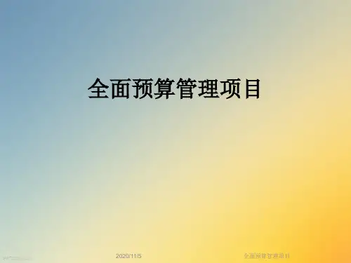 全面预算管理项目