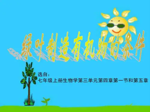 《初中生物创新实验》PPT课件