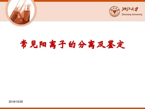 常见阳离子的分离及鉴定
