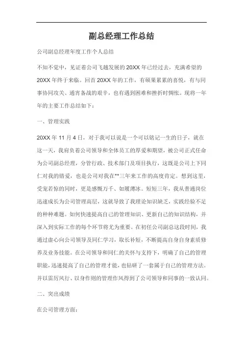 副总经理工作总结
