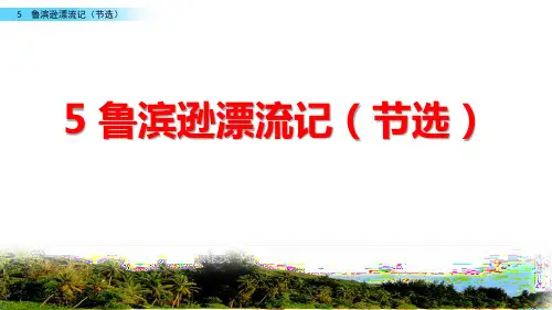 部编版六年级下册语文5鲁滨逊漂流记课件