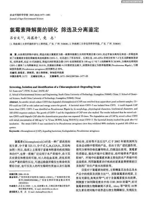 氯霉素降解菌的驯化 筛选及分离鉴定