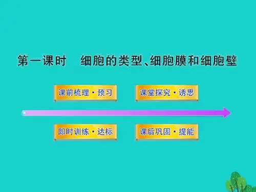 高中生物第三章细胞的结构和功能3.2.1细胞的类型、细胞膜和细胞壁课件苏教版必修1