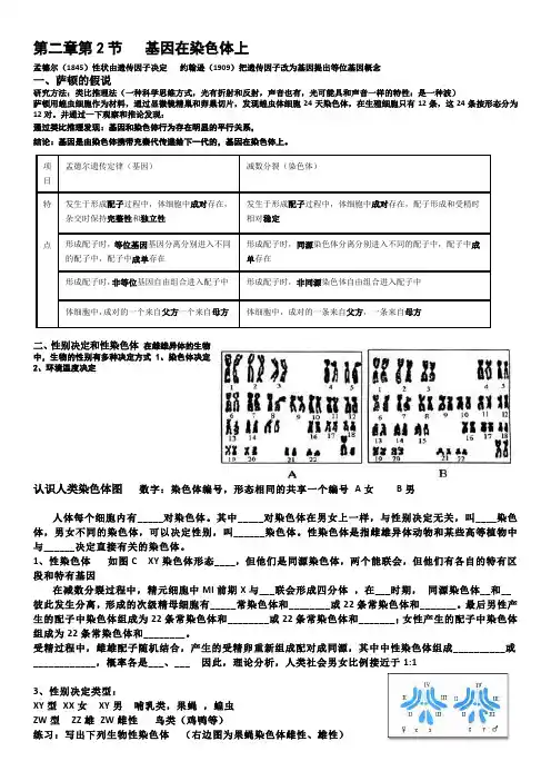 (完整版)基因在染色体上
