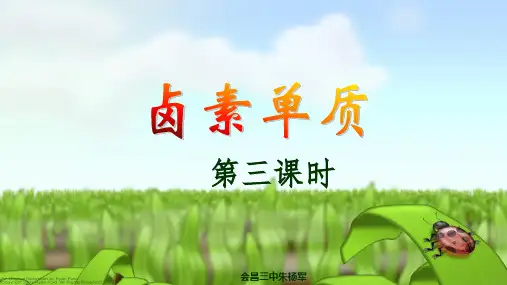 课时3 卤族元素(1.1)