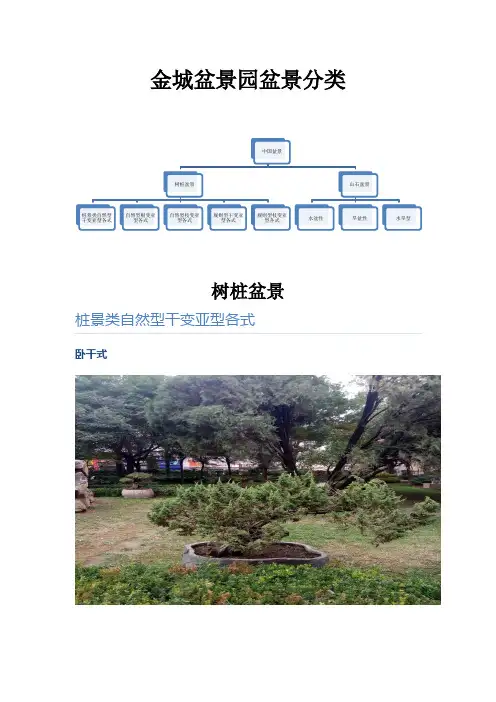 盆景学作业