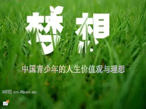 论关于中国当下青少年的人生价值观以及理想