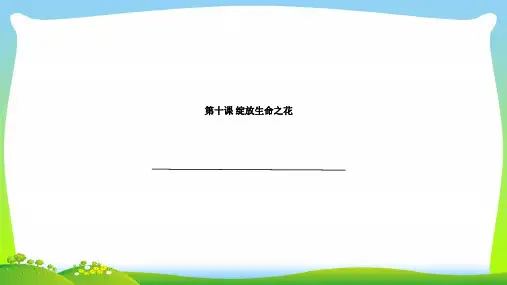 部编版七年级上册道德与法治10.1 感受生命的意义 课件