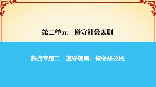 人教版八年级道德与法治热点专题2课件