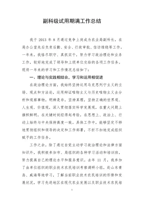 副科级试用期满工作总结