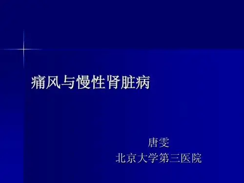 痛风与慢性肾脏病
