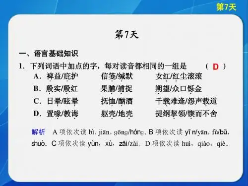 第7天