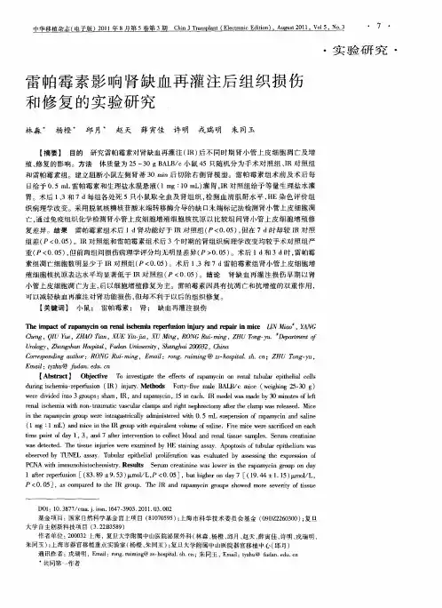 雷帕霉素影响肾缺血再灌注后组织损伤和修复的实验研究