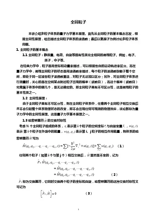 全同粒子体系