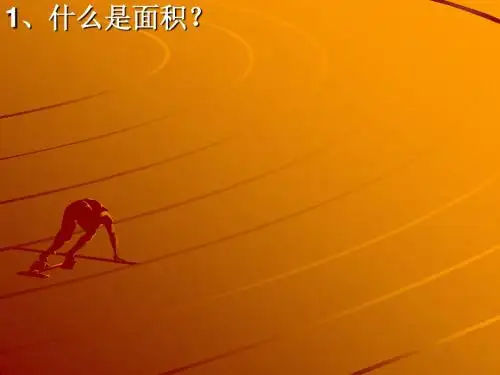 六年级上数学课件-面积的概念_人教新课标