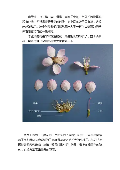 李亚科辨认