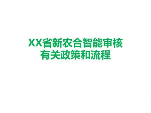 XX省新农合智能审核有关政策和流程