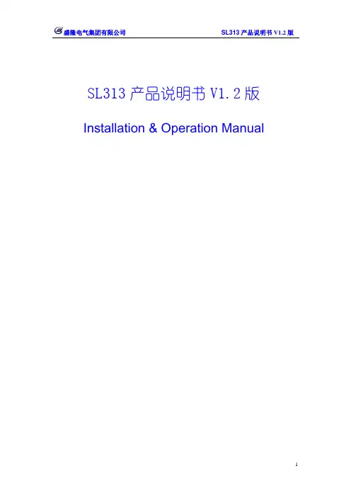 SL313网络多功能电力仪表说明书V1.2