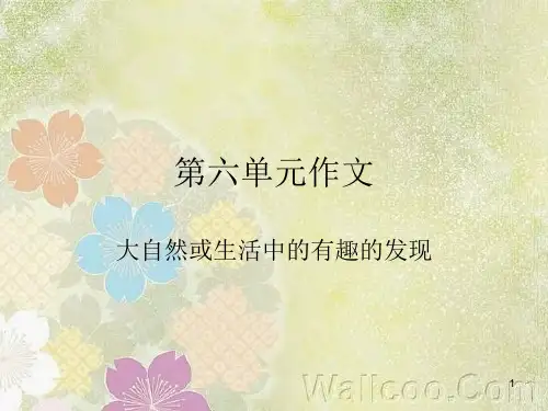 有趣的发现作文ppt课件