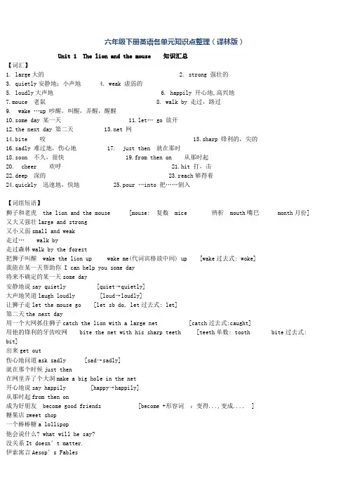 新六下英语各单元知识点汇总译林版