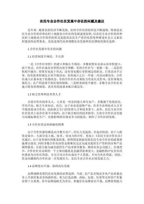 农民专业合作社在发展中存在的问题及建议