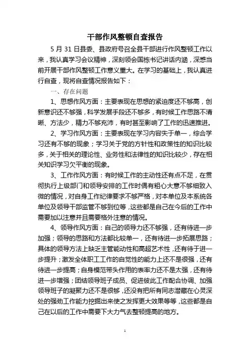 个人作风整顿自查报告 2
