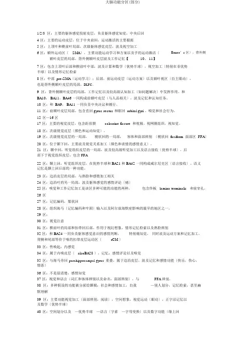 大脑功能分区(部分)