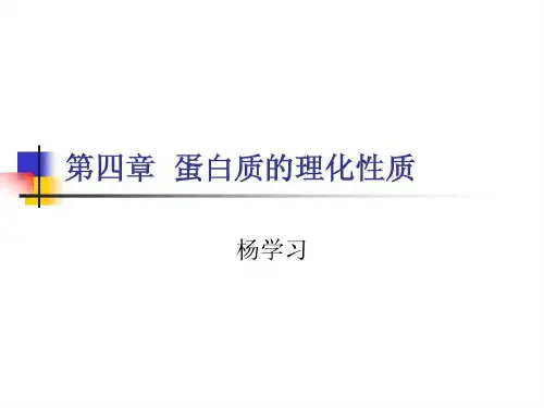 蛋白质理化性质共81页文档